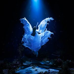 Aimer - Dareka, Umi wo. (誰か、海を。)