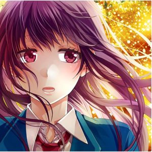 HoneyWorks - Bokujya Dame desuka? ~Kokuhaku Jikko Iinkai~ (Limited Edition)