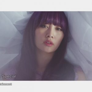 Nicole - Something Special