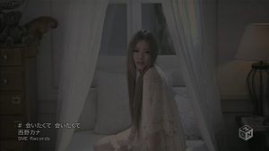 [PV] Kana Nishino – Aitakute Aitakute [HDTV][720p][x264][AAC][2010.05.19]