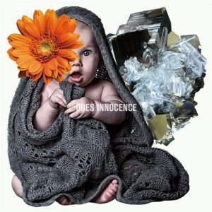 [Album] DOES – Innocence [MP3/320K/RAR][2016.04.27]
