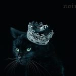 [Album] Aimer – BEST SELECTION “noir” [MP3/320K/ZIP][2017.05.03]