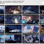 [Concert] BUMP OF CHICKEN – GO from “BUMP OF CHICKEN STADIUM TOUR 2016 “BFLY” NISSAN STADIUM” [HDTV][720p][x264][AAC][2016.12.21]