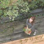 [Digital Single] Maiko Fujita – Okurimono [MP3/320K/ZIP][2017.12.06]