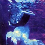 [Single] LUNA SEA – DESIRE [MP3/320K/ZIP][1995.11.13]