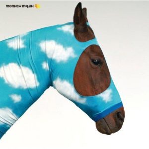 [Album] MONKEY MAJIK – Sora wa Maru de [MP3/192K/ZIP][2007.07.25]