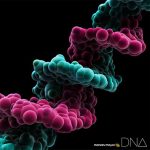 [Album] MONKEY MAJIK – DNA [AAC/256K/ZIP][2013.10.16]