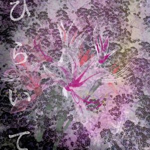 [Digital Single] Seiko Omori – Hiraite [MP3+FLAC/ZIP][2021.10.20]